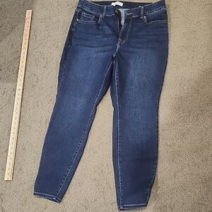 Lane Bryant Dark Blue Ankle Jeans